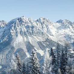 Blick auf schneebedeckte Berggipfel und Bäume