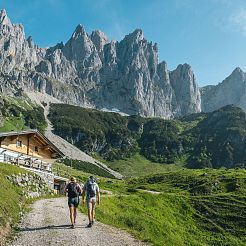 WilderKaiser_Kaiserblüte_Moor_MatGartner_2025_-35