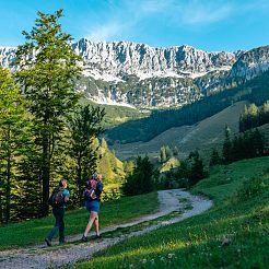 WilderKaiser_Kaiserblüte_Stein_MathäusGartner_2025_-99