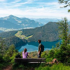 WilderKaiser_Kaiserblüte_Wasser_MatGartner_2025_-68
