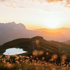 Landschaft mit Wiesenblumen und See bei Sonnenaufgang