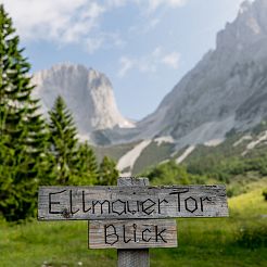 Blick zum Ellmauer Tor