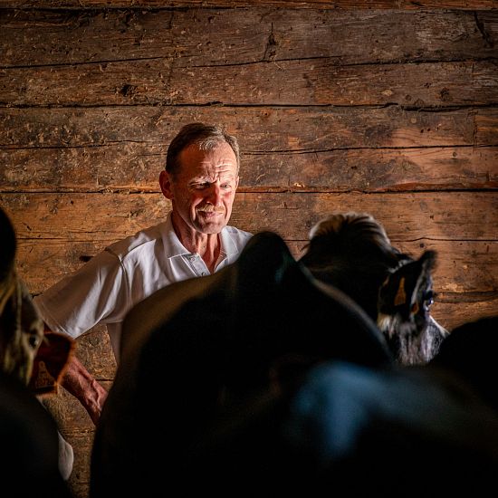 MLP-Moderer Alm20190625-ML8_7936