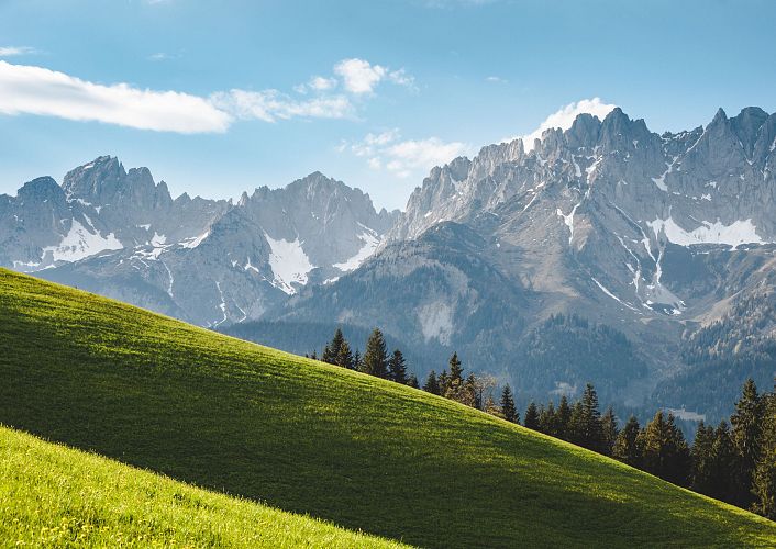 fruehling-2020-going-gartner-mathaeus-image-0388-1