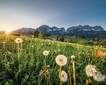 fruehling-panorama-wilder-kaiser-foto-emanuel-adensam-4-1