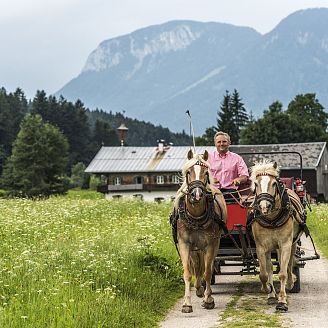 kutschenfahren-sommer-wilder-kaiser-foto-von-felbert-reiter-10-7