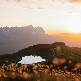 wilderkaiser-landschaft-sommer-sonnenaufgang-2023-foto-carmenhuter-1-3